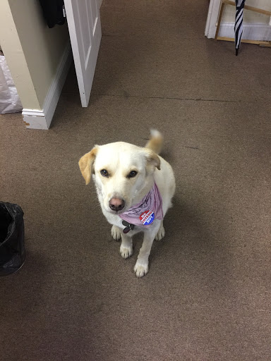 Estate Planning Attorney «Klenk Law Over 20 years; Wills, Trusts & Estates!», reviews and photos