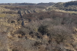 Anti tankmuur en drakentanden (WO2)