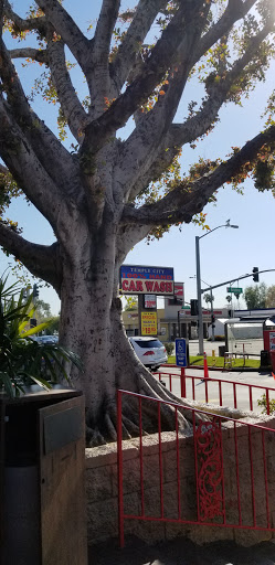 Car Wash «Temple City Car Wash», reviews and photos, 5500 Rosemead Blvd, Temple City, CA 91780, USA
