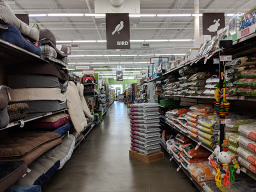 Pet Supply Store «Pet Supplies Plus», reviews and photos, 126 E Main St, Smithtown, NY 11787, USA