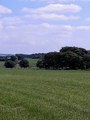 Hyndford Boarding Kennels