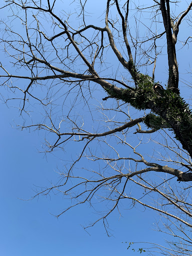 Top 10 cửa hàng đồ gỗ Huyện Đảo Cồn cỏ Quảng Trị 2022