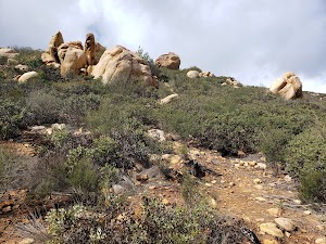 Iron Mountain Summit - photo 30