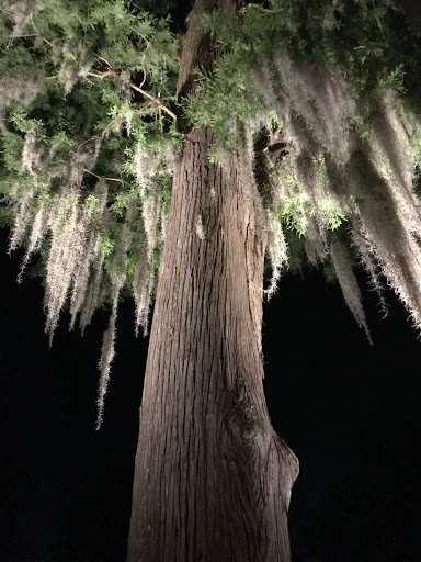 Electrician «Goldstar Electric Inc», reviews and photos, 13406 Seymour Meyers Blvd #24, Covington, LA 70433, USA