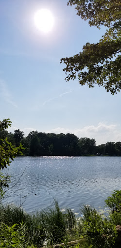 Park «Torzewski County Park», reviews and photos, 2051 Pero Lake Rd, Lapeer, MI 48446, USA