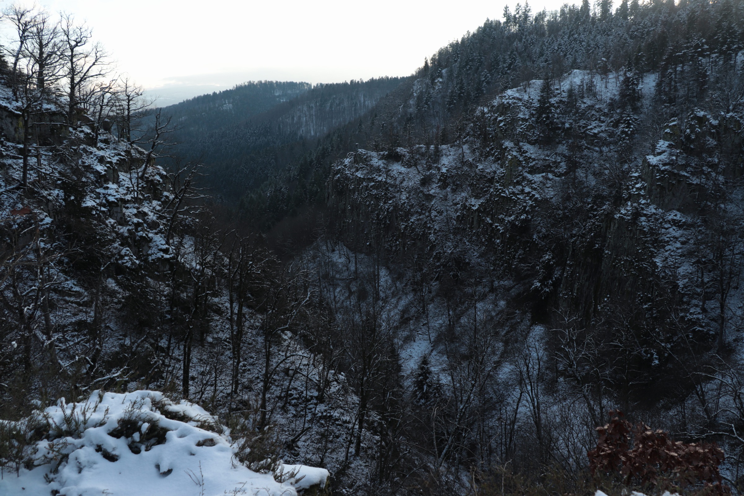 Photo n° 7 de l'avis de KHEOPS.1 fait le 10/01/2021 à 17:53