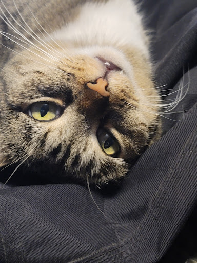 Pet Supply Store «PetSmart», reviews and photos, 4190 Vinewood Ln N, Plymouth, MN 55442, USA