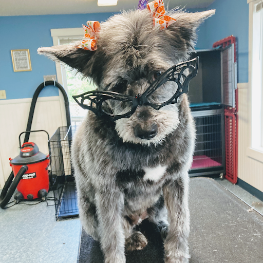 Tail - Wagging Trims, LLC