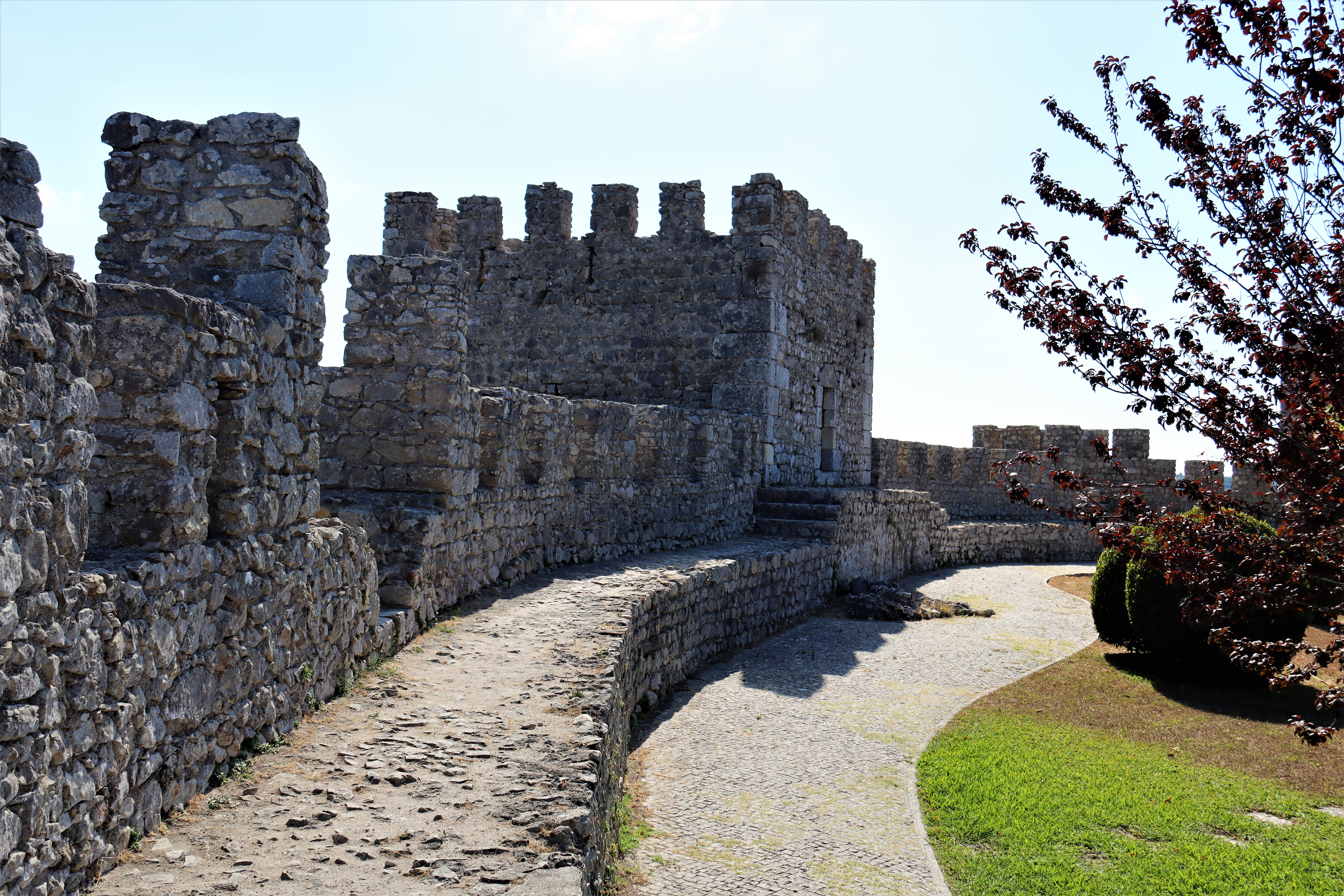 Picture of a place: Castle of Montemor-o-Velho
