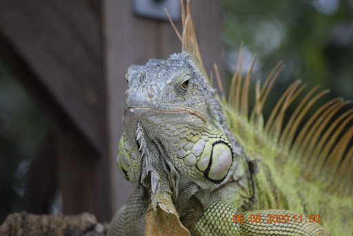 Pet Supply Store «Pet Supplies Plus», reviews and photos, 4923 Sheridan St, Hollywood, FL 33021, USA