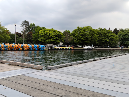 Park «Green Lake Park», reviews and photos, 7201 East Green Lake Dr N, Seattle, WA 98115, USA