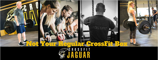 Gym «CrossFit Jaguar Tampa», reviews and photos, 9509 N Trask St, Tampa, FL 33624, USA