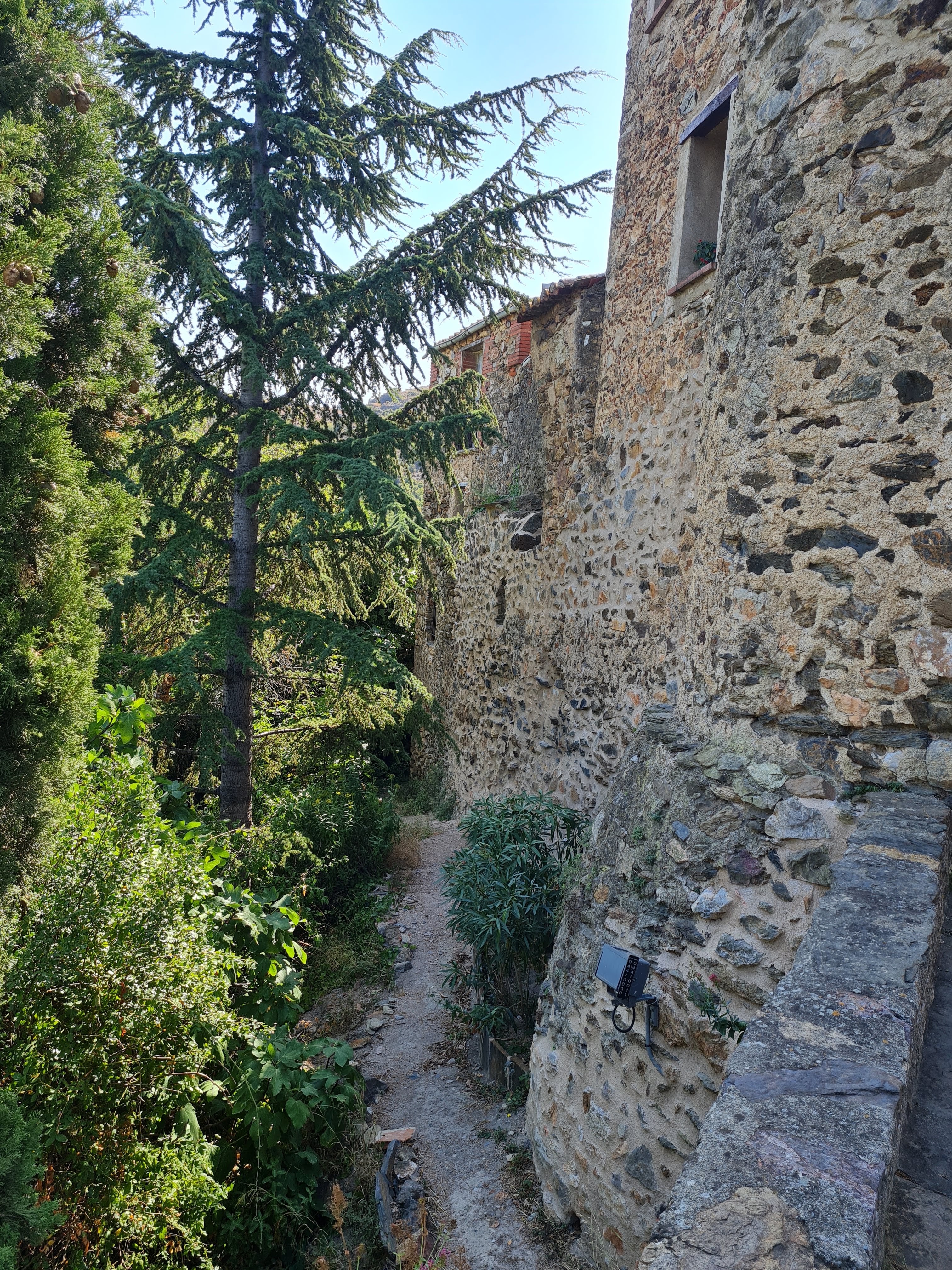 Photo n° 16 de l'avis de Bernard.a fait le 14/08/2022 à 12:34