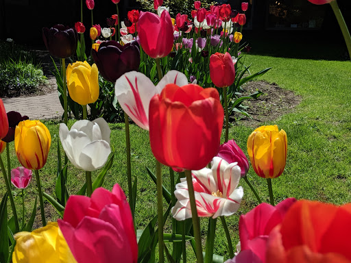 Shopping Mall «The Dewitt Mall», reviews and photos, 215 N Cayuga St, Ithaca, NY 14850, USA