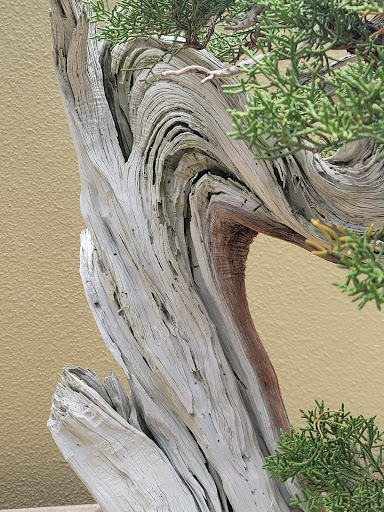 Botanical Garden «Rhododendron Species Botanical Garden», reviews and photos, 2525 S 336th St, Federal Way, WA 98003, USA