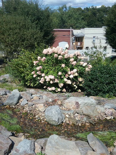 Dollar Store «FAMILY DOLLAR», reviews and photos, 1013 W Market St, Pottsville, PA 17901, USA