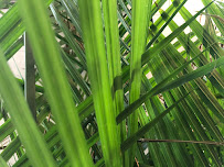 The Innerwork Center - Photo 6 - Car repair in Richmond, VA, Virginia Beach