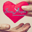 Silver Angels of Tennessee - Putnam, LLC