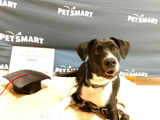 Pet Supply Store «PetSmart», reviews and photos, 5401 N Garland Ave, Garland, TX 75040, USA