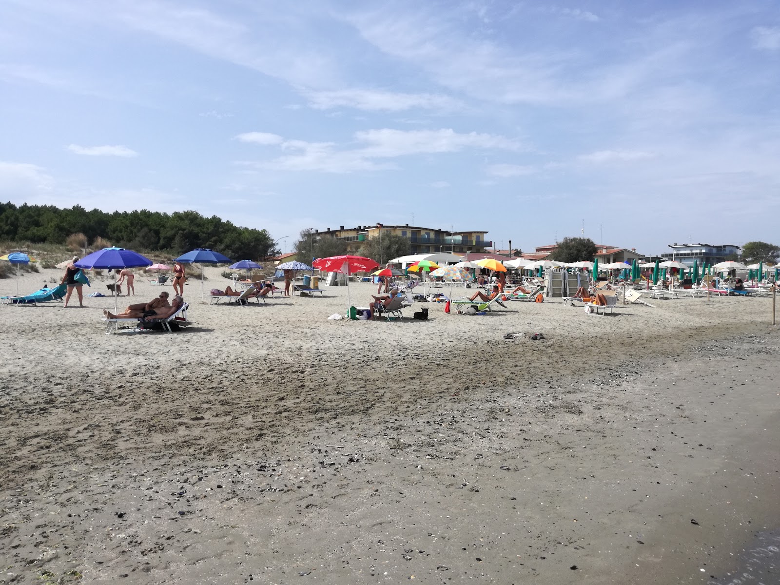 Foto von Spiaggia Casalborsetti Sud - beliebter Ort unter Entspannungskennern