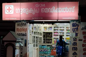 Gurukripa Medicals - Olakettiyambalam image