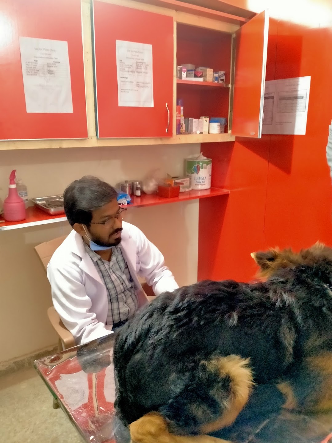 Vet for Pets Clinic