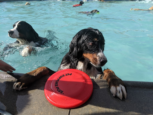 Water Park «Pirates Cove Family Fun Aquatic Center», reviews and photos, 1225 W Belleview Ave, Littleton, CO 80120, USA