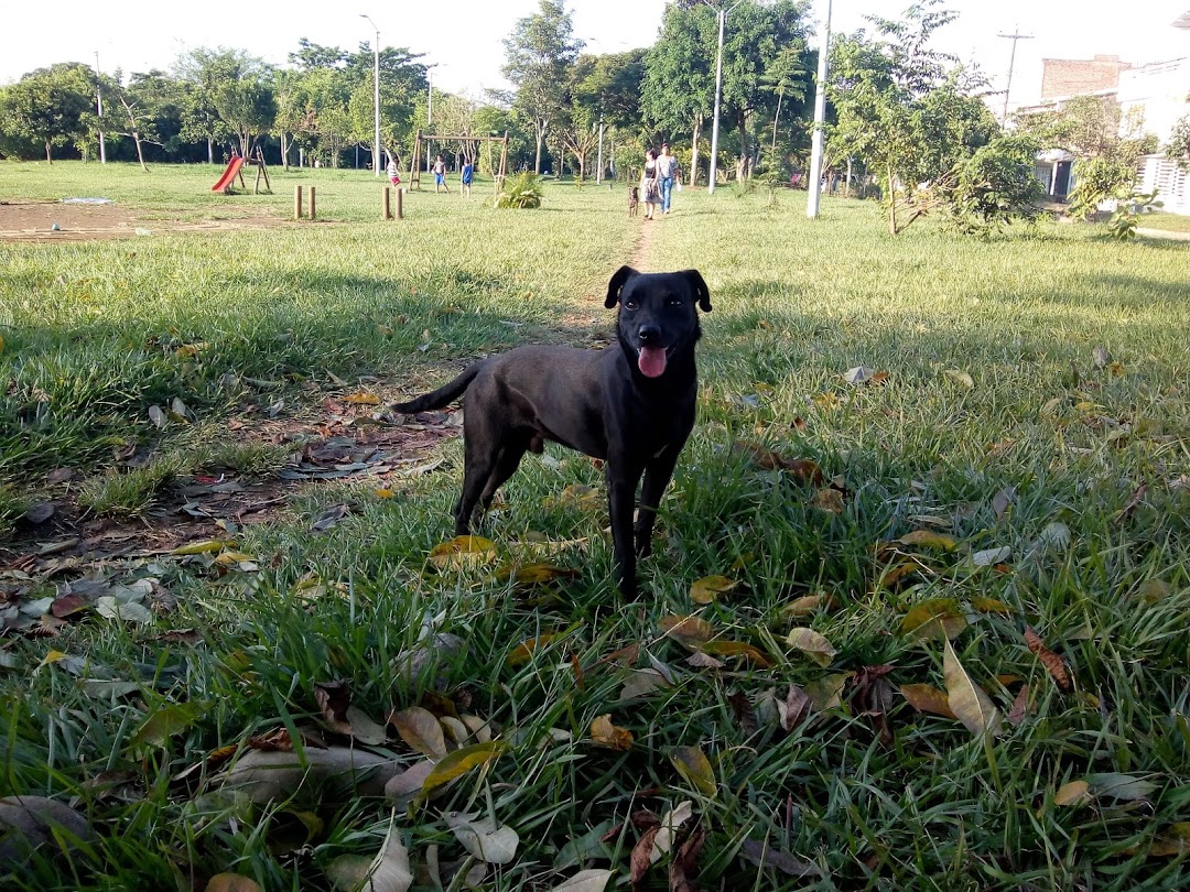 Parque de la Pradera