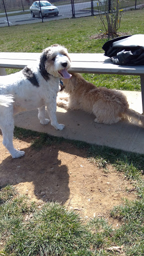 Park «Beckley Creek Park», reviews and photos, 1411 Beckley Creek Pkwy, Louisville, KY 40245, USA