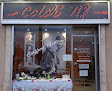 Salon de coiffure Color'tif 42720 Pouilly-Sous-Charlieu