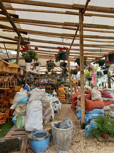 https://www.facebook.com/floriculturaRF/