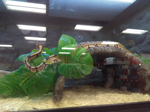 Pet Supply Store «Petco Animal Supplies», reviews and photos, 1150 El Camino Real #167, San Bruno, CA 94066, USA