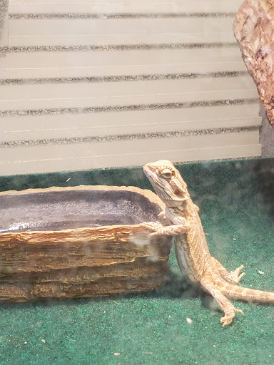 Pet Store «Critters Pet Shop», reviews and photos, Randall Rd, South Elgin, IL 60177, USA