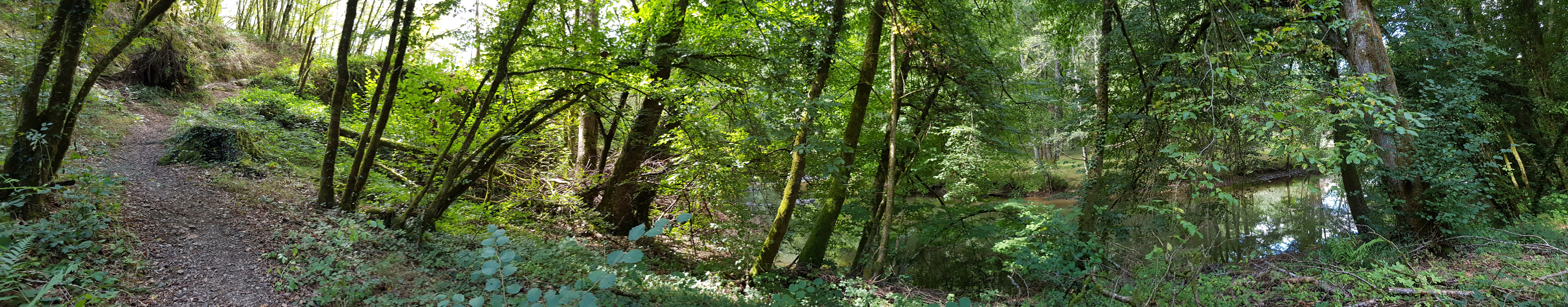 Photo n° 7 de l'avis de John.l fait le 11/09/2020 à 11:47