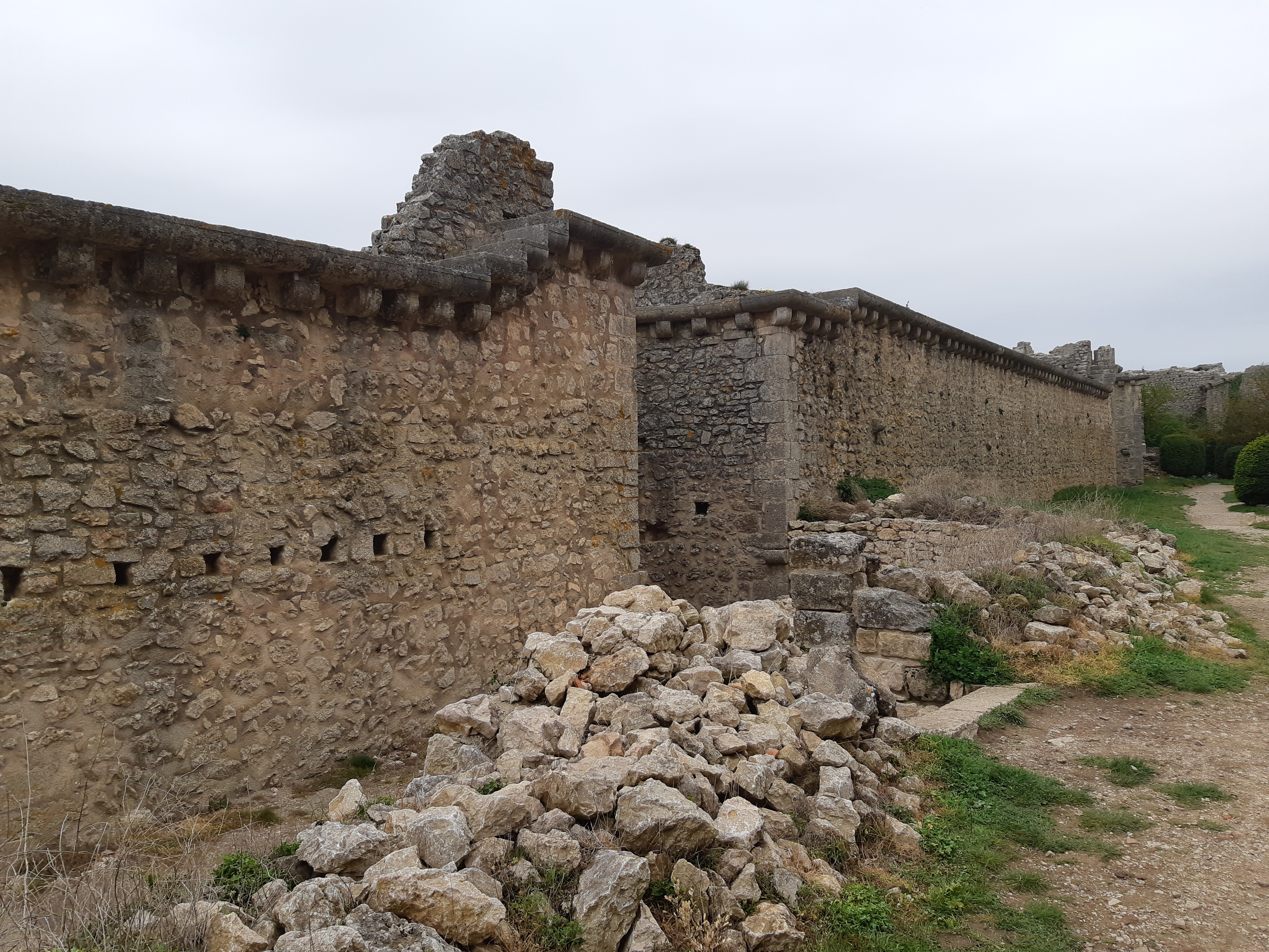 Photo n° 6 de l'avis de Olive.. fait le 22/04/2019 à 16:32