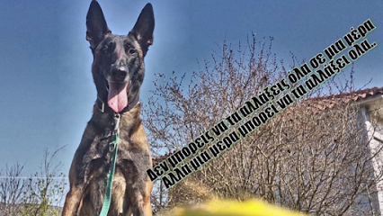 Dei Epiri εκτροφείο Malinois & Εκπαιδευτής - Εκπαίδευση σκύλων