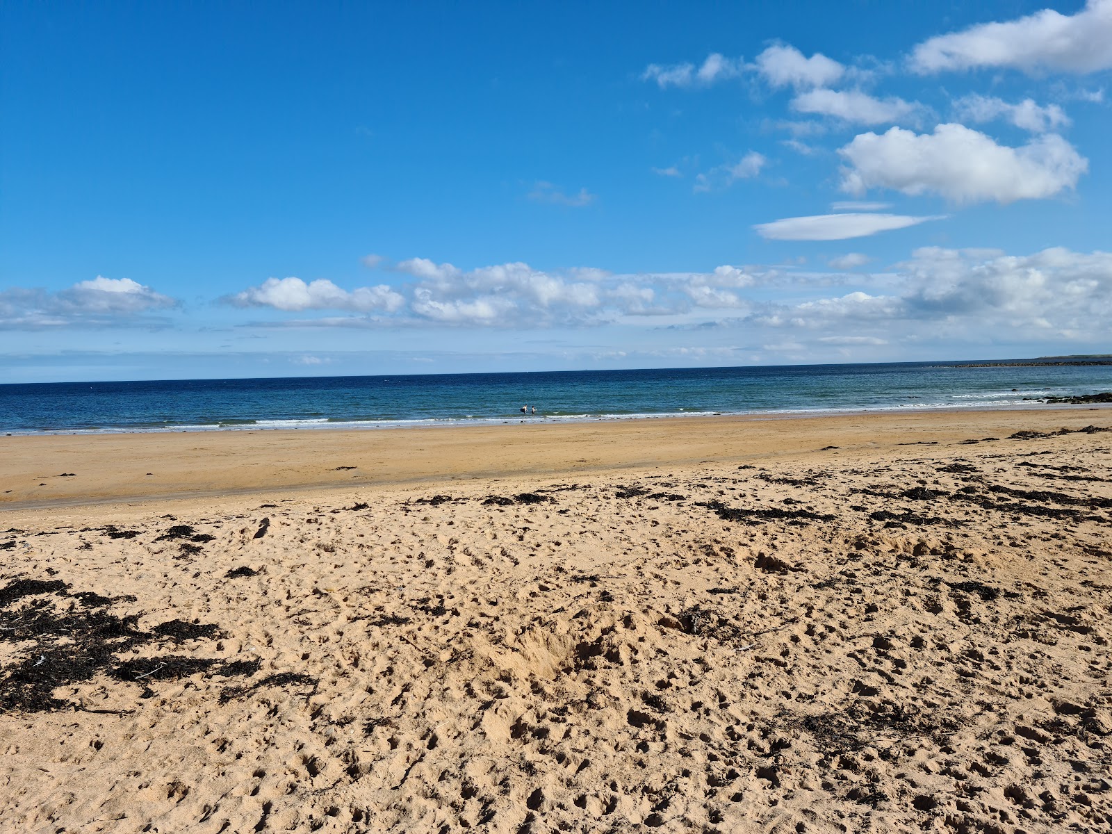 Kingsbarns Beach'in fotoğrafı imkanlar alanı