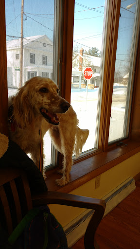 Wilde Veterinary Center