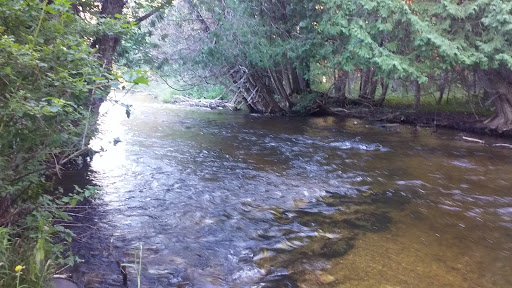 Hanel Nature Preserve