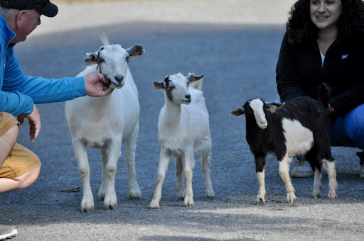 Water Park «Enchanted Forest Water Safari», reviews and photos, 3183 NY-28, Old Forge, NY 13420, USA