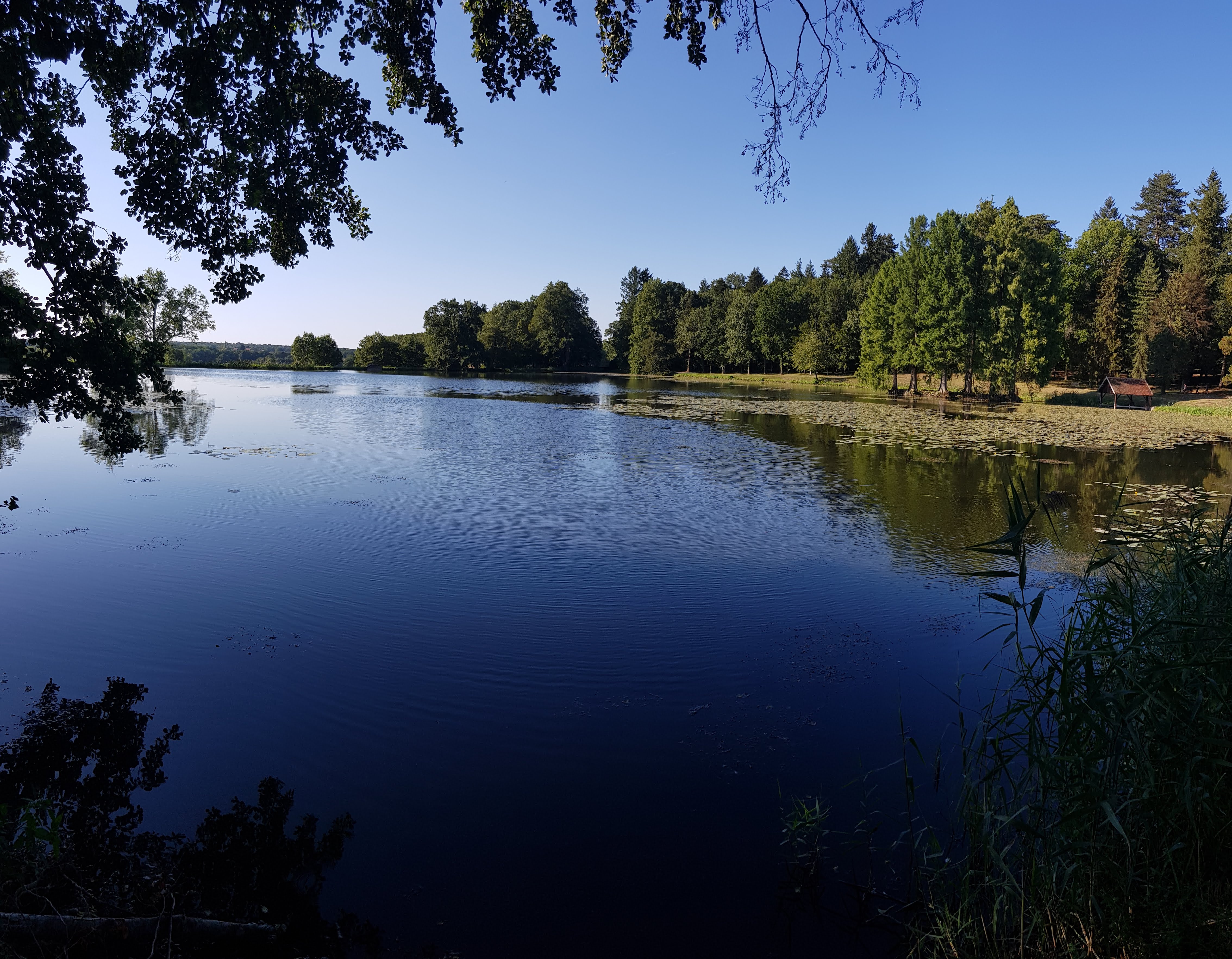 Photo n° 4 de l'avis de Lionel.L fait le 29/08/2019 à 11:24