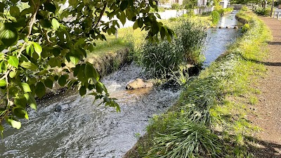 せせらぎ緑道