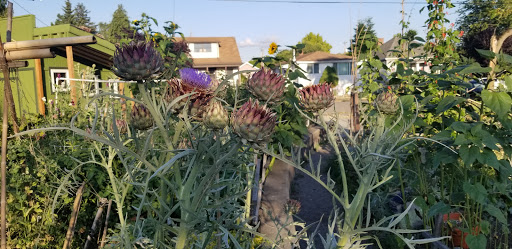 Park «Oxbow Park», reviews and photos, 6430 Corson Ave S, Seattle, WA 98134, USA