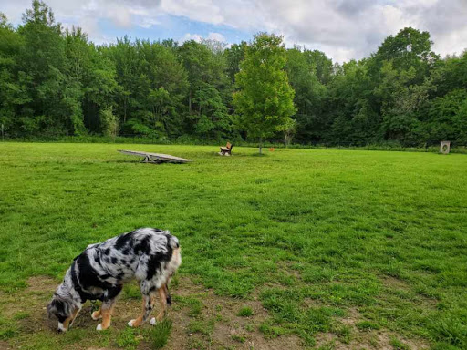 Butler Farm Dog Park