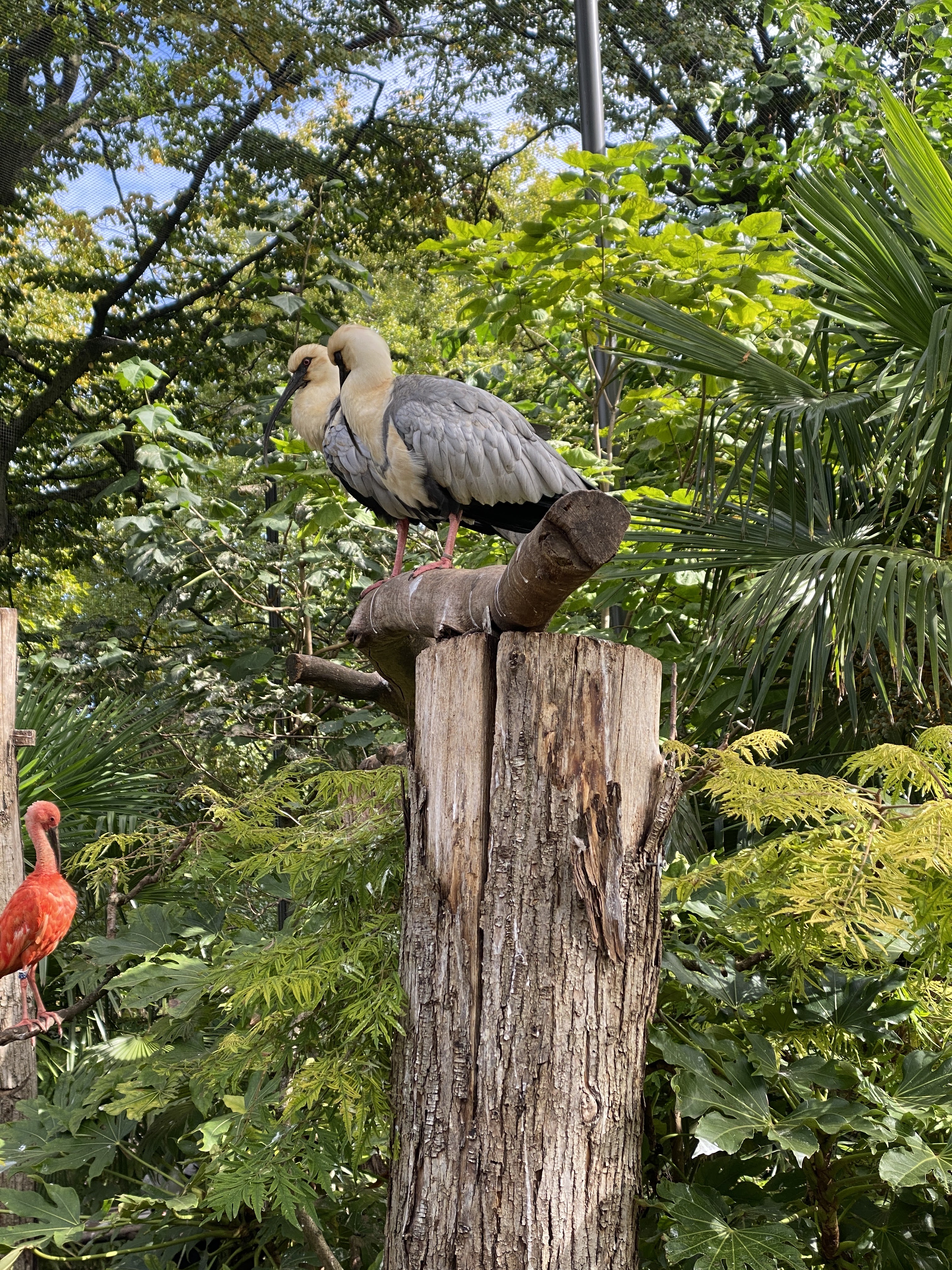 Photo n° 4 de l'avis de Pierre.a fait le 29/09/2022 à 11:15
