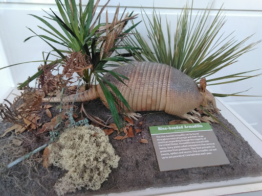 Natural History Museum «Fernbank Museum of Natural History», reviews and photos, 767 Clifton Rd, Atlanta, GA 30307, USA