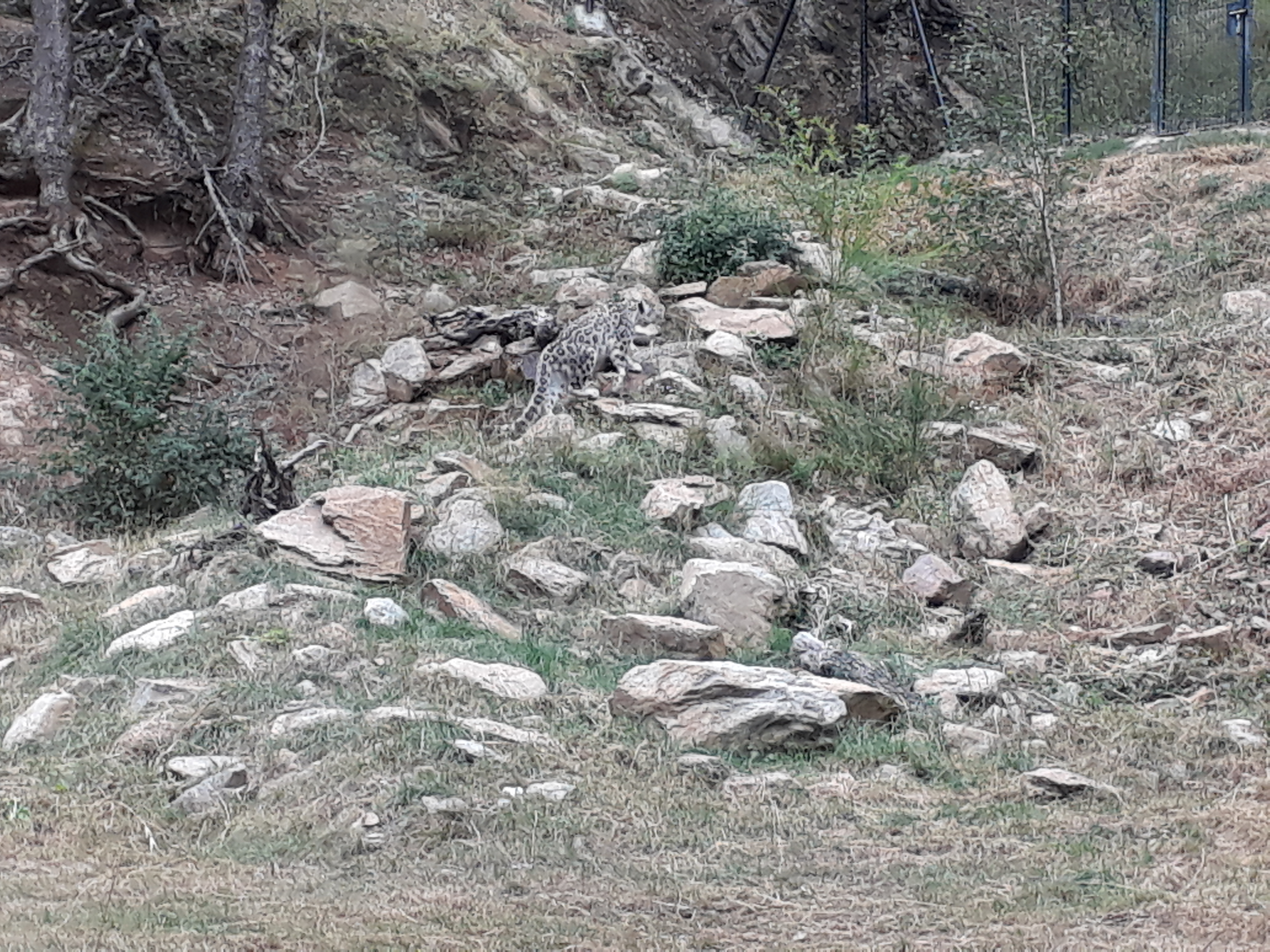 Photo n° 22 de l'avis de Stef.e fait le 15/08/2018 à 14:06