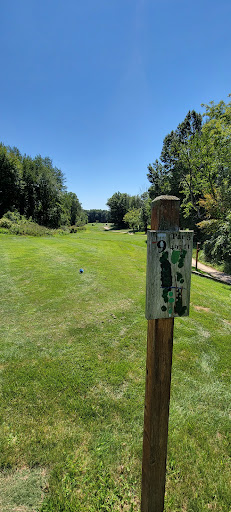 Golf Course «Pine Hills Golf Course», reviews and photos, 6603 Woodbury Rd, Laingsburg, MI 48848, USA