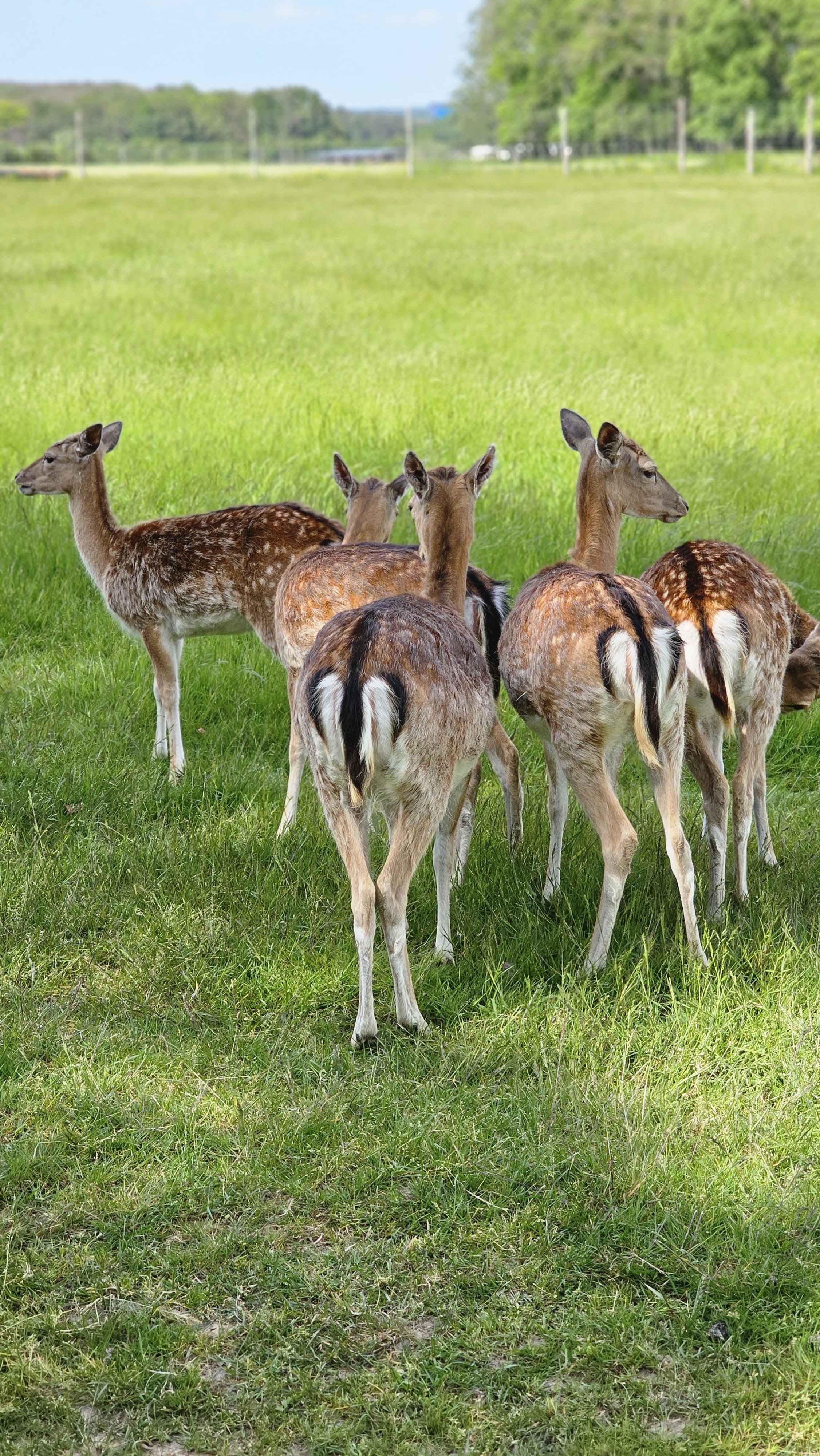 Photo n° 2 de l'avis de Chris.e fait le 08/06/2023 à 16:32