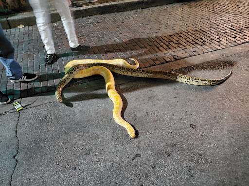 Movie Theater «Alamo Drafthouse Cinema», reviews and photos, 320 E 6th St, Austin, TX 78701, USA